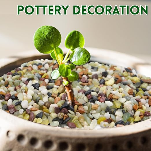 10 lb Pebbles for Indoor Plants, 3/8 Inch Decorative Rocks for Potted Plants - Image 4