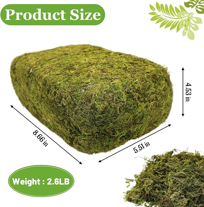 Riare 2.6LB Natural Moss Artificial Fake Moss Alternative - Image 2