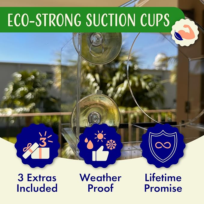 Clear Bird Feeders for Window Viewing Inside - Image 2
