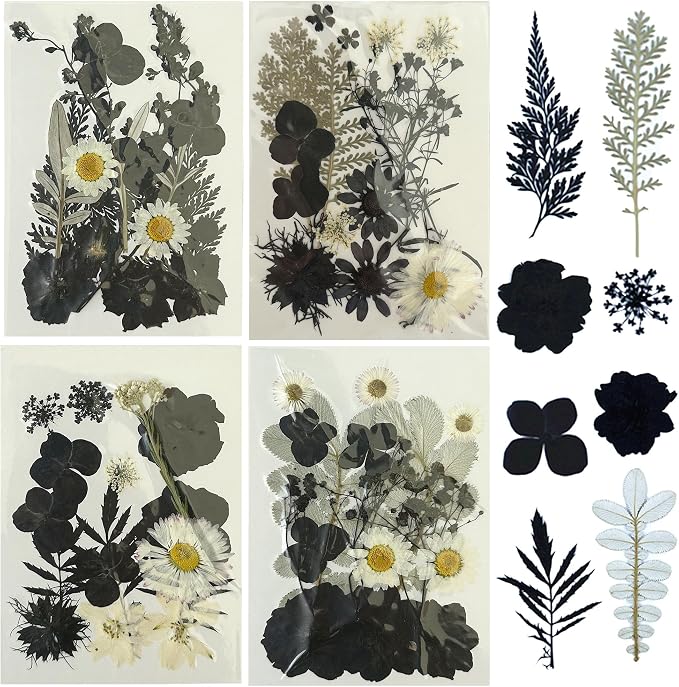 Woohome 4 Pack Dried Flowers for Resin Molds by Woohome