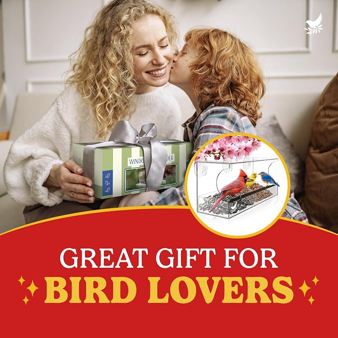 Window Bird Feeder by Nature’s Hangout - Image 9
