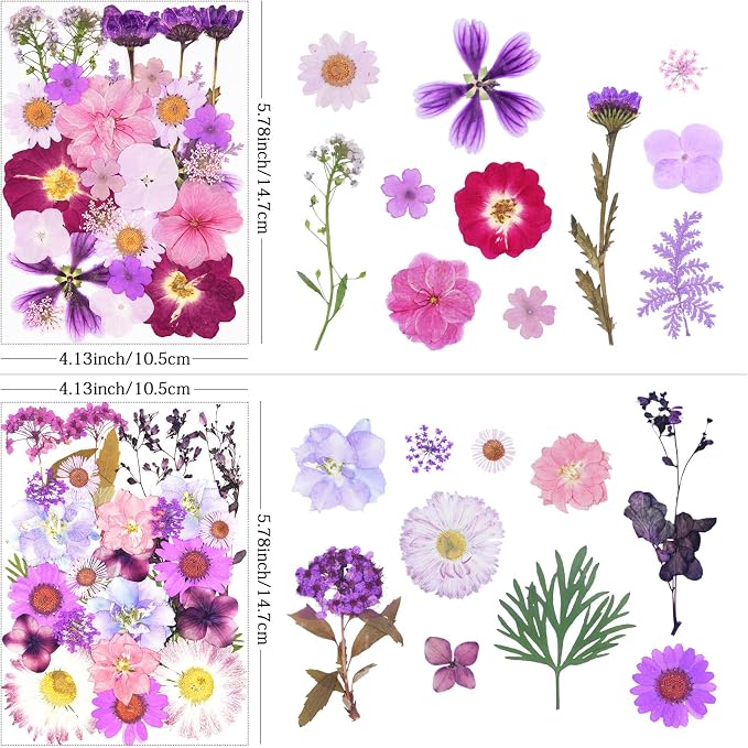 110Pcs Purple Dried Pressed Flowers - Image 3