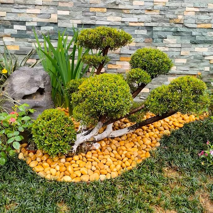 YISZM Rocks for Plant 2lbs, High Polished Decorative Stones Vase Filler Fish - Image 6