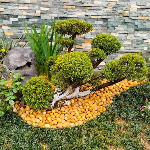 YISZM 20lbs Yellow River Rocks for Landscaping, 2-3 Inch Natural Pebbles for - Image 2