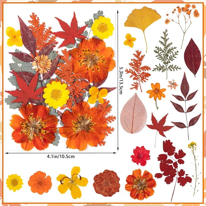 78 Pcs Fall Dried Pressed Flowers - Image 2
