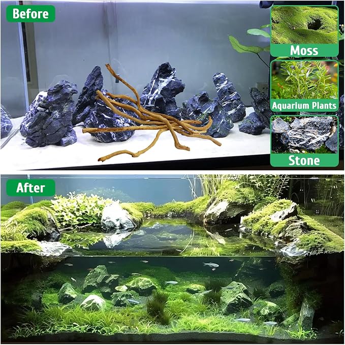 kathson Natural Driftwood for Aquarium - Image 5