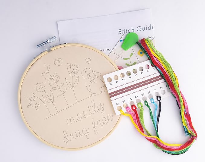 FUNATIC Mostly Drug Free Embroidery Kit | Funny Beginner Needle Work Starter Set - Image 2