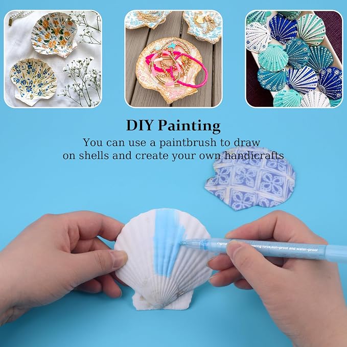 30PCS Scallop Shells for Crafts 2''-3'' Natural White Large Shells Decoration - Image 4