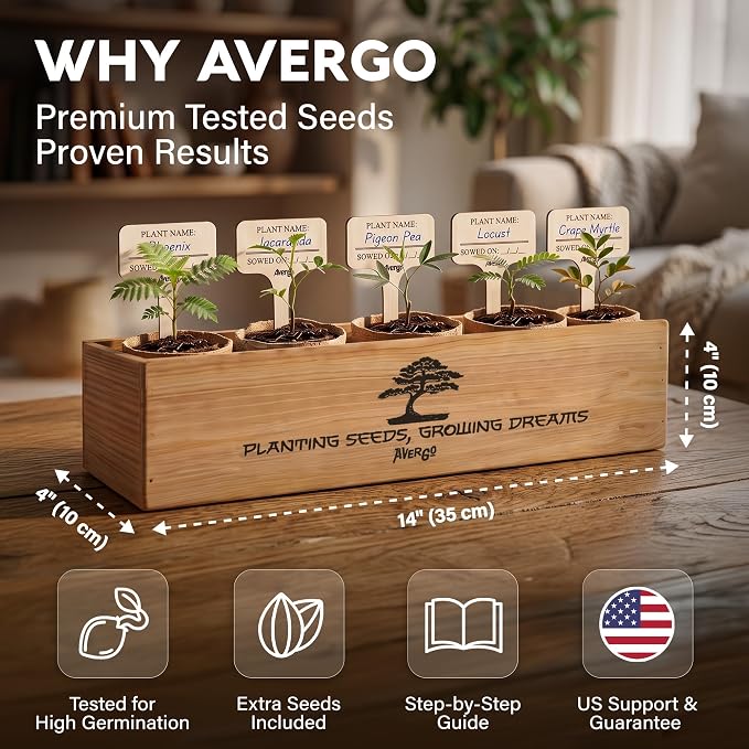 Bonsai Tree Kit Deluxe - Image 4