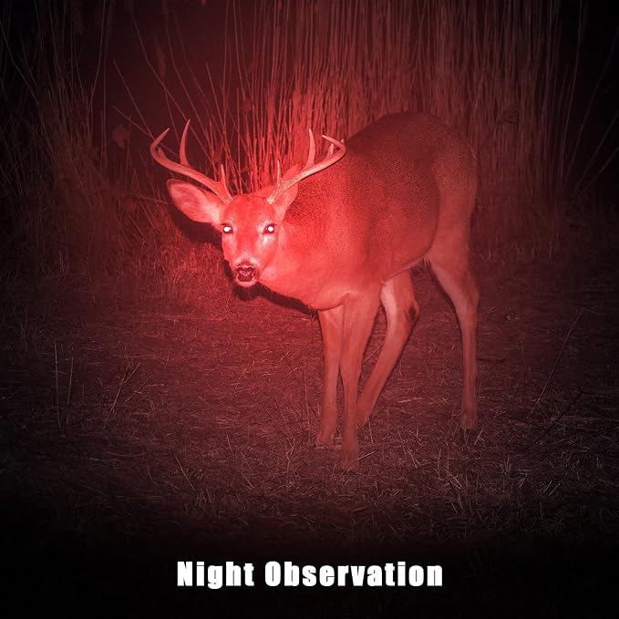 Honoson Red Light Flashlight LED Single Mode Torch 1 Mode Scalable Red Lens - Image 5