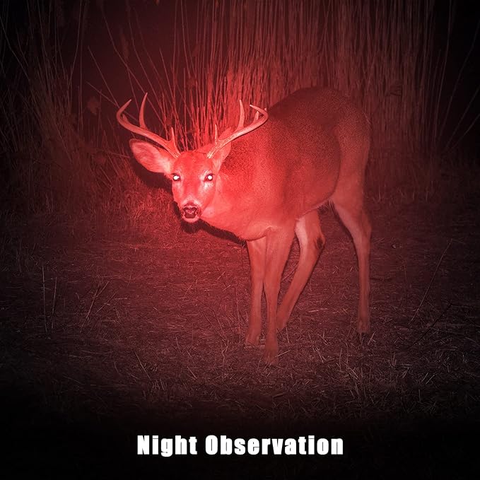 Honoson Red Light Flashlight LED Single Mode Torch 1 Mode Scalable Red Lens - Image 6
