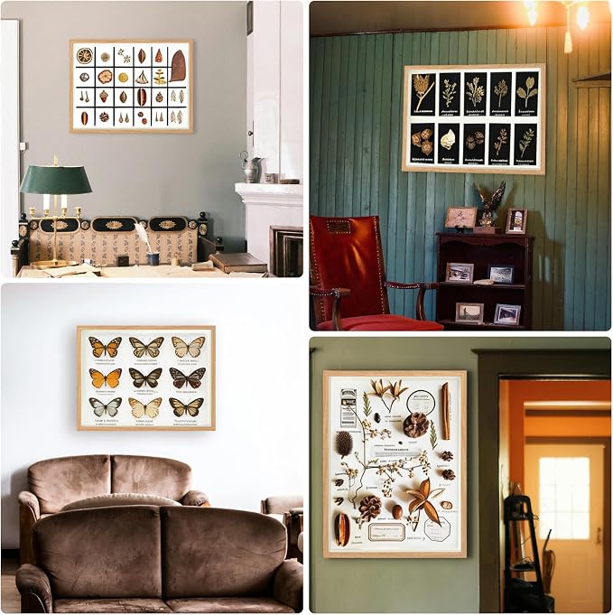 12×16 Shadow Box Frame Display Case - Image 7