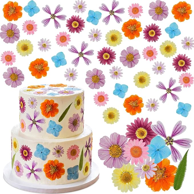 96 Pcs Natural Dried Pressed Flowers by Unknown