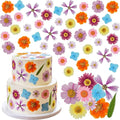 96 Pcs Natural Dried Pressed Flowers by Unknown