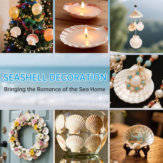 25PCS Large Scallop Shells for Crafts, Decorating, Ocean Themed Party Supplies - Image 6