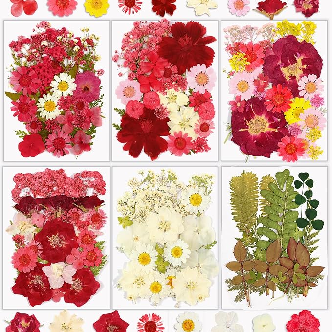 Dried Flowers, Resiners 174Pcs Pressed Flowers by Resiners