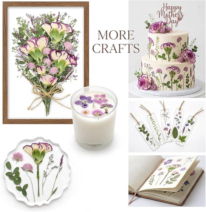 10+ Types Dried Pressed Flowers - Image 6