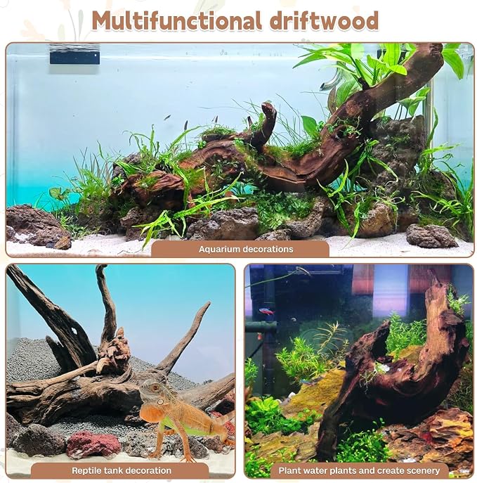 PINVNBY Natural Driftwood for Aquarium Decor Fish Tank Decorations Reptile - Image 3