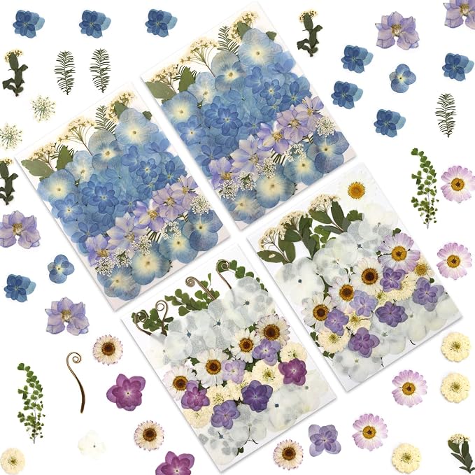 LUXEEASE 140P Hydrangea Dried Pressed Flowers | Large petals, star blooms by LUXEEASE