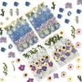 LUXEEASE 140P Hydrangea Dried Pressed Flowers | Large petals, star blooms by LUXEEASE