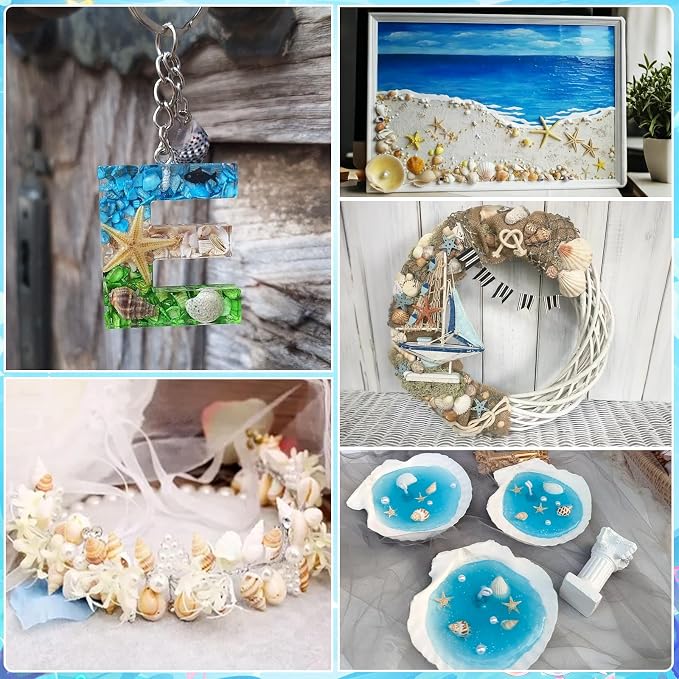 1200 PCS Tiny Seashells & 21 Starfish Mixed 18 Kinds Bulk Beach Small Shells - Image 7