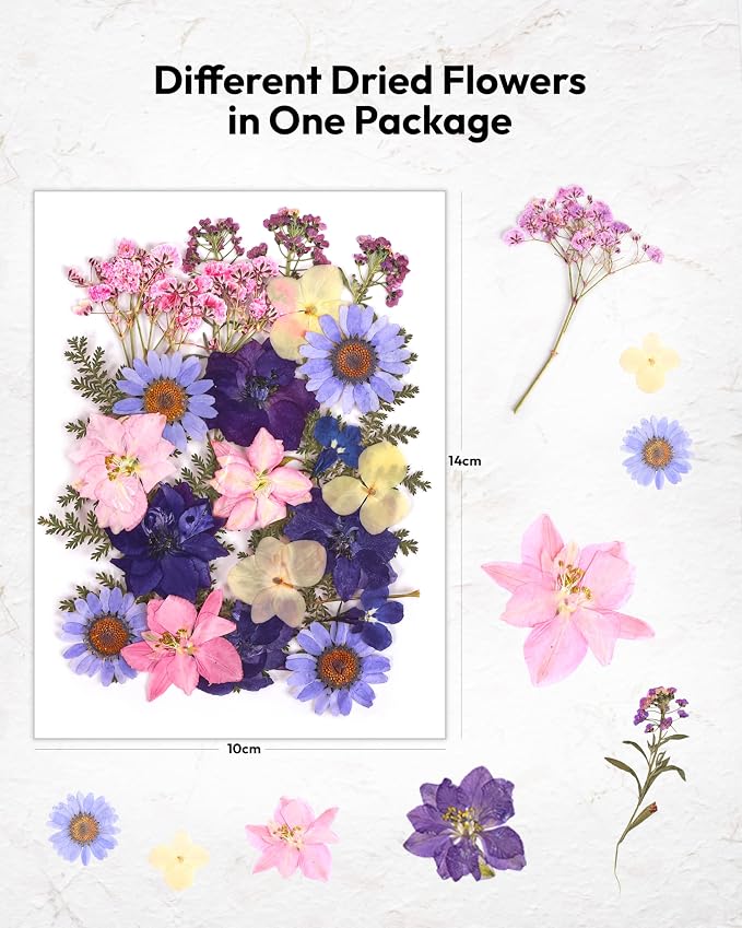 Dried Flowers, Resiners 100Pcs Pressed Flowers - Image 2