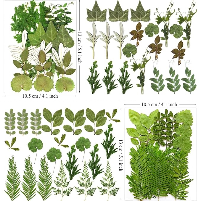 MIKIYA 84Pcs Pressed Dried Leaves - Image 5