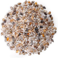 500pcs Natural Tiny Small Seashells by PPCLION