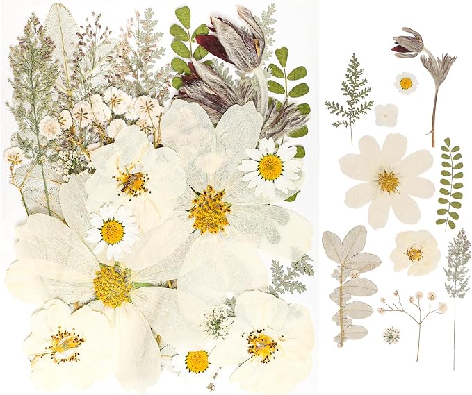 50Pcs Dried Pressed Flowers Real Pressed Flowers Natural Dry Leaves Bulk Mixed - Image 6