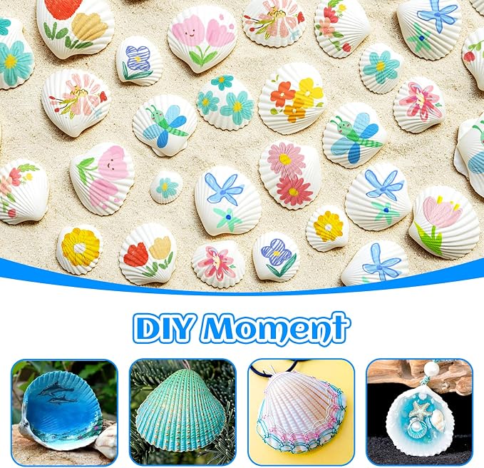 QEQEKAKA 60PCS Sea Shells for Crafts1.5''-2'' White Small Seashells Clam - Image 4