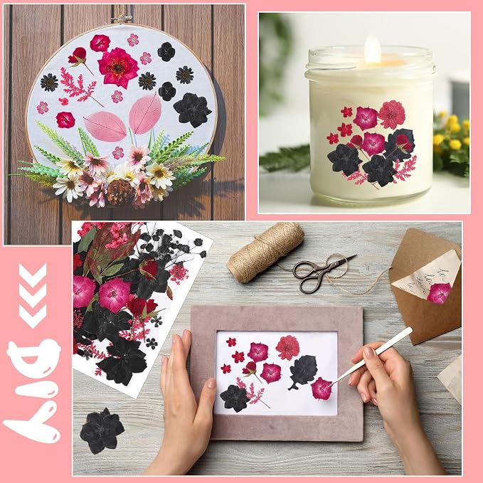 Nuanchu Black Red Dried Pressed Flowers - Image 5