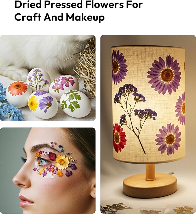 Dried Flowers, Resiners 100Pcs Pressed Flowers - Image 9