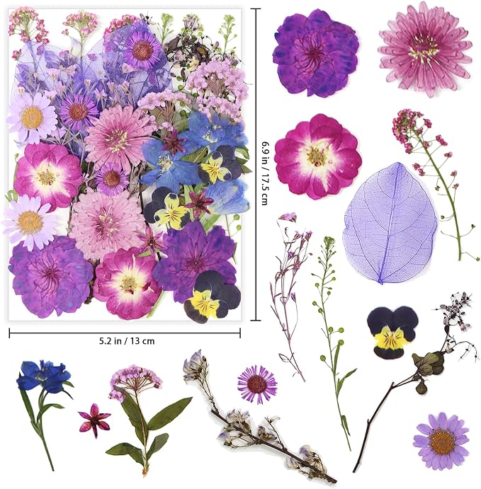 40 Pcs Purple Dried Pressed Flowers Real Natural - Image 2