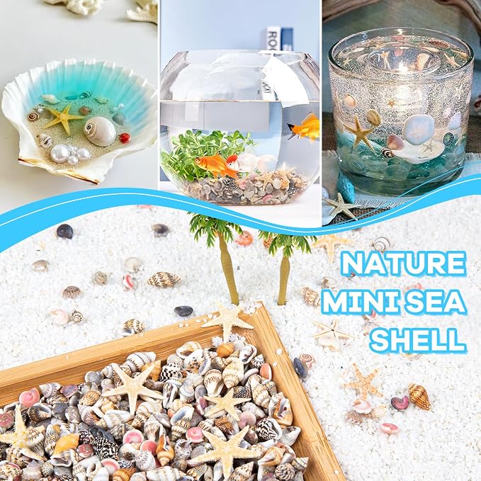 1200 PCS Tiny Seashells & 21 Starfish Mixed 18 Kinds Bulk Beach Small Shells - Image 5