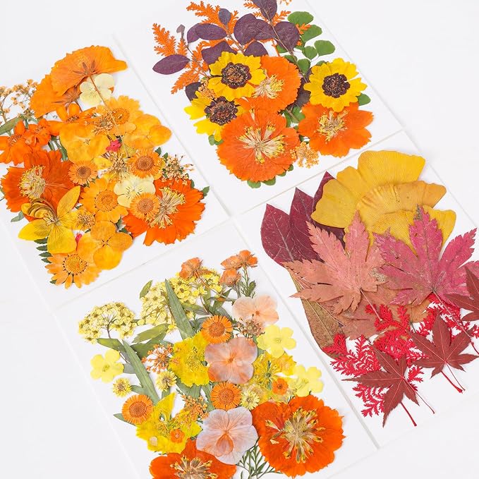 100 Pcs Fall Dried Pressed Flowers - Image 8