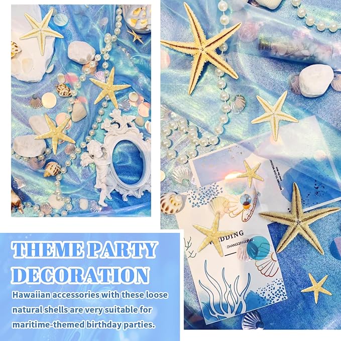 WEOXPR 2000 Pcs Tiny Sea Shells & Starfish - Image 6