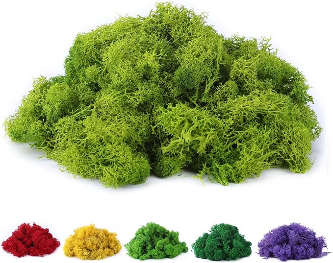 Fake Moss Preserved Reindeer Moss 3.5 OZ by DAZUINIAO