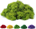 Fake Moss Preserved Reindeer Moss 3.5 OZ by DAZUINIAO