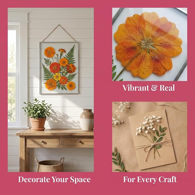 Assorted Dried Flower Petals and Leaves Set - Image 5