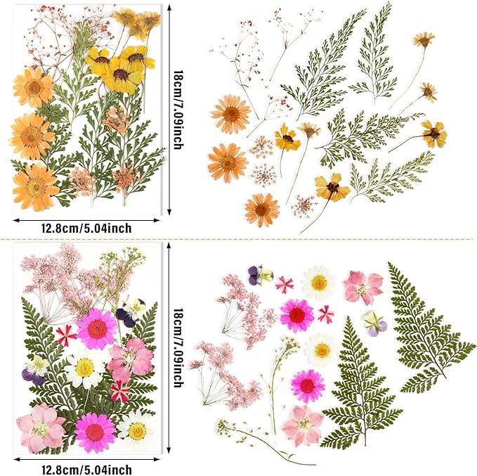 Nuanchu Dried Pressed Flowers for Craft Resin Real Flat Dried Flowers Leaves - Image 3