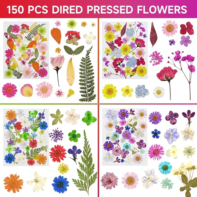 150 Pcs Pressed Flowers Bulk Dried Flower - Image 2