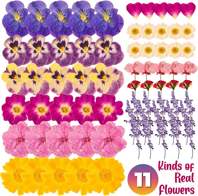 70 Pcs 11kinds Edible Dried Pressed Flowers - Image 3