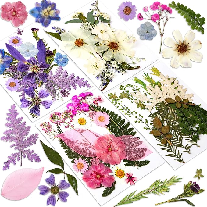 Augshy Dried Pressed Flowers Dry Leaves, Scrapbooking by Augshy