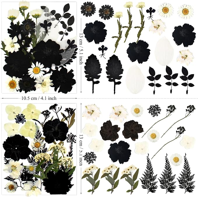 90Pcs Black Pressed Dried Flowers - Image 5