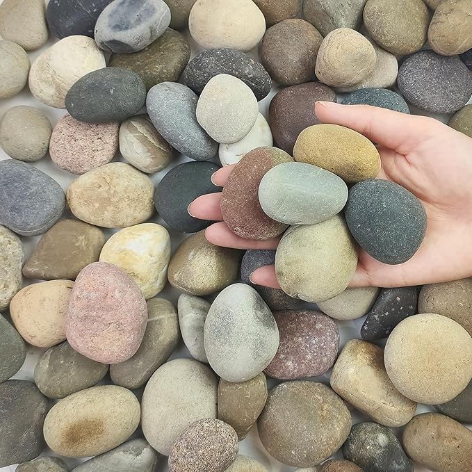 FANTIAN 5 lbs Pebbles for Plants, 1-2 Inch Decorative River Rocks for Plants by FANTIAN-GardeningMakesLifeBetter