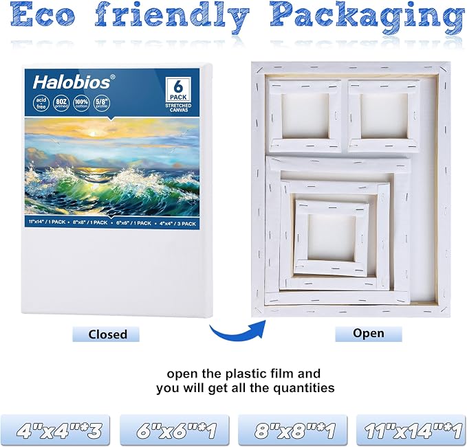 Halobios 6 Packs Stretched Canvases - Image 2