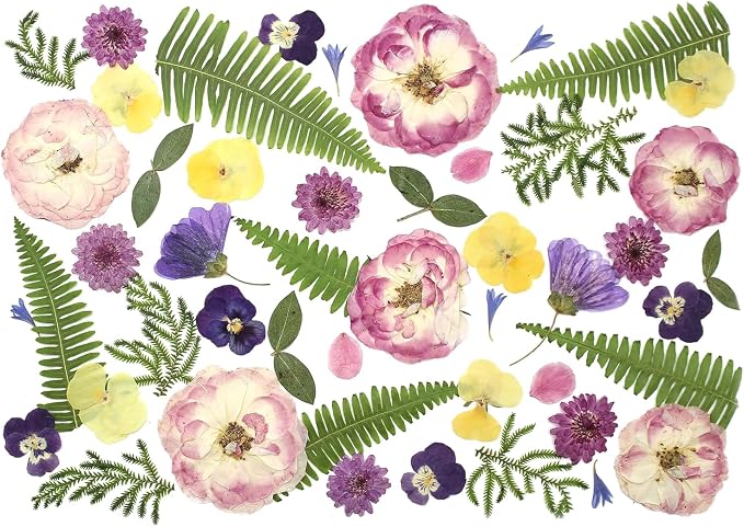 48 Pcs Mix Natural Dried Pressed Flowers by AHTONG