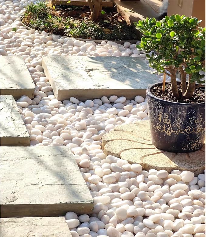 FANTIAN 5 lbs White Pebbles for Indoor Plants, 1-2 Inch Small White River Rocks - Image 8
