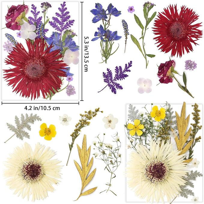 17 Types 30PCS Real Dried Pressed Flowers Bulk Dried Flower - Image 2