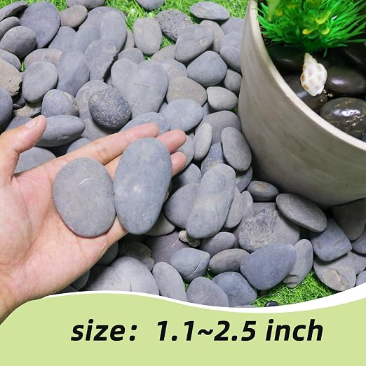 45LB River Rocks, Mexican Beach Pebbles - Image 3